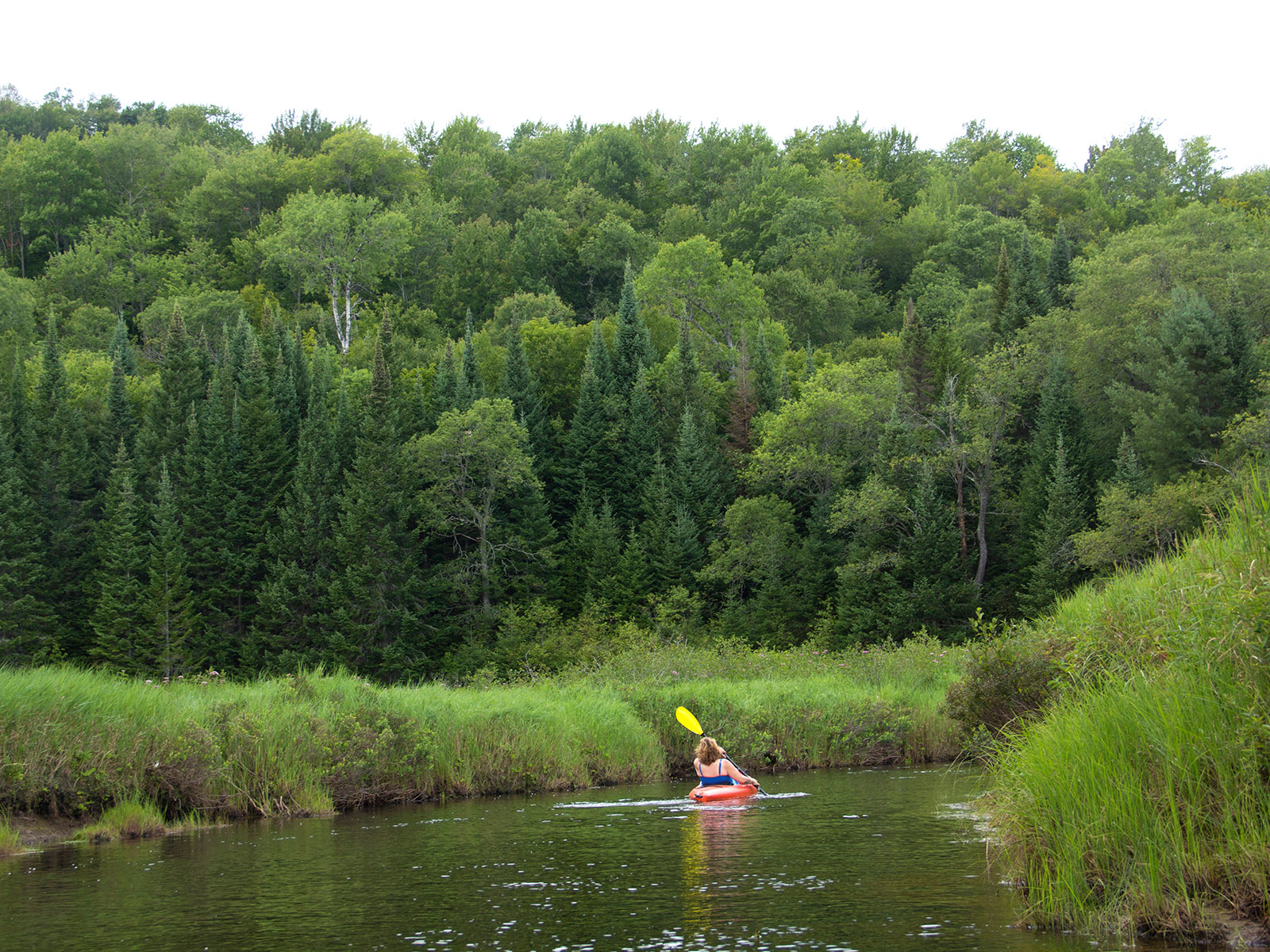 Moose River - HTR