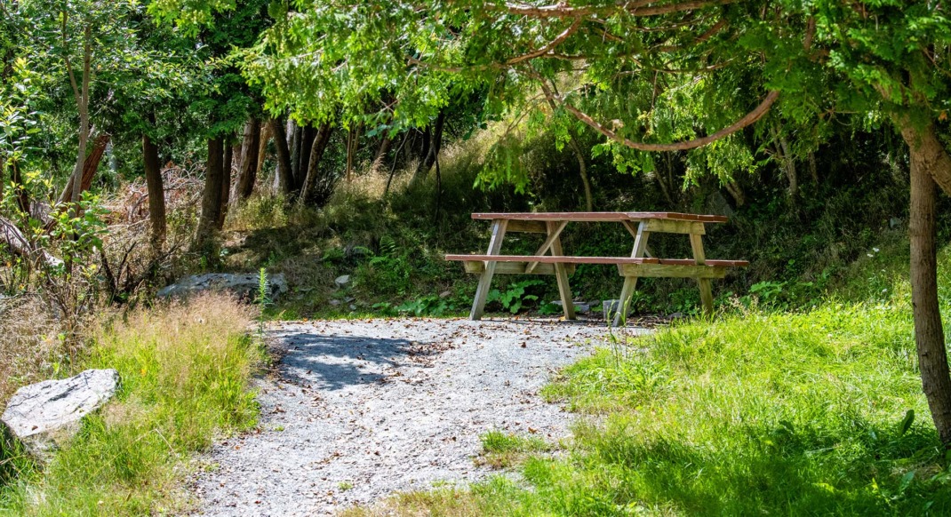 acadia interior water only rustic campsite