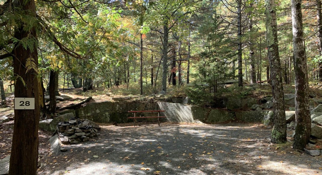 acadia wooded interior rustic tent site