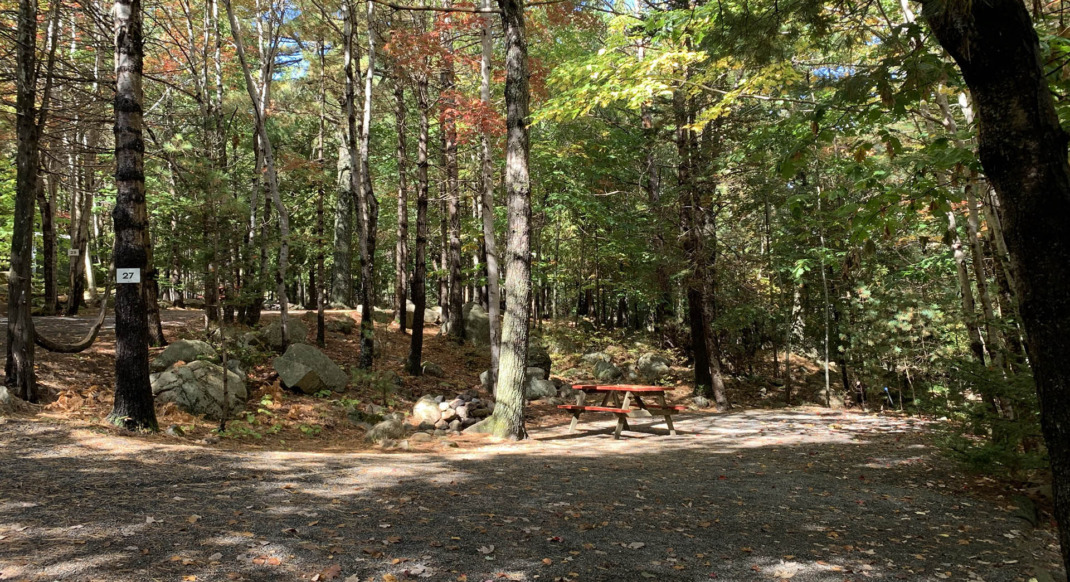 acadia wooded interior rustic tent site