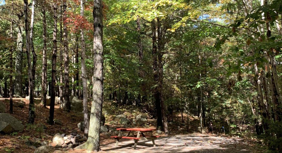 acadia wooded interior rustic tent site