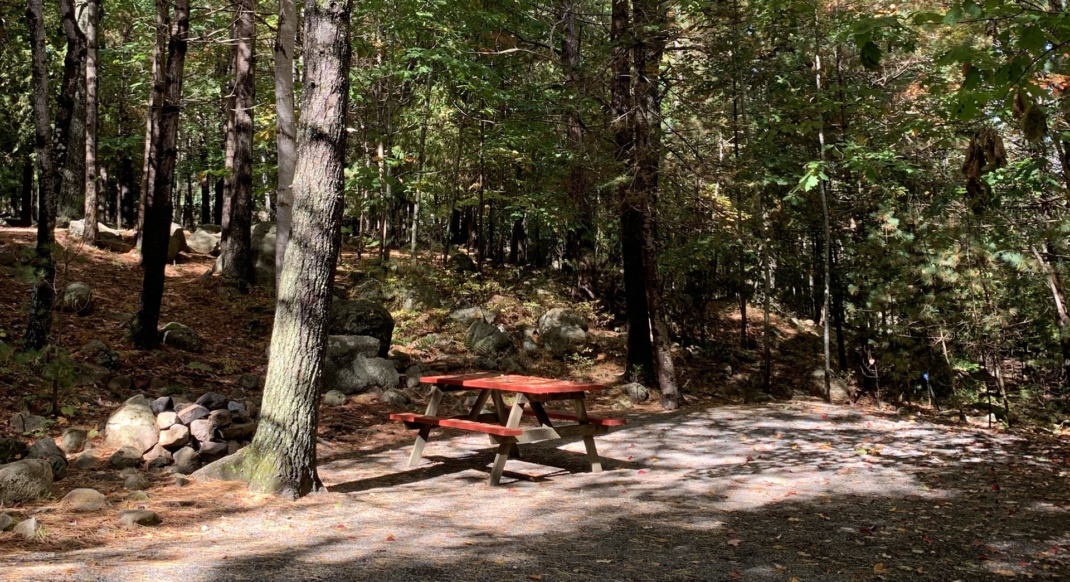 acadia wooded interior rustic tent site